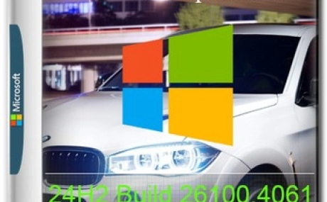 Windows 11 Enterprise LTSC 24H2 Build 26100.4061 Tweak