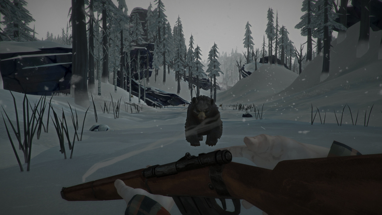 Screenshot #4 - The Long Dark