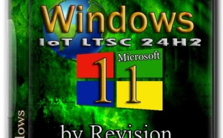 Windows 11 IoT LTSC 24H2 Lite 26100.4061 by Revision