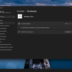 Screenshot #5 - Windows 11 Lite Pro 24H2 Build 26100.1742 by Lak