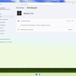 Screenshot #6 - Сборка Windows 11 25H2 Pro Build 26200.5761