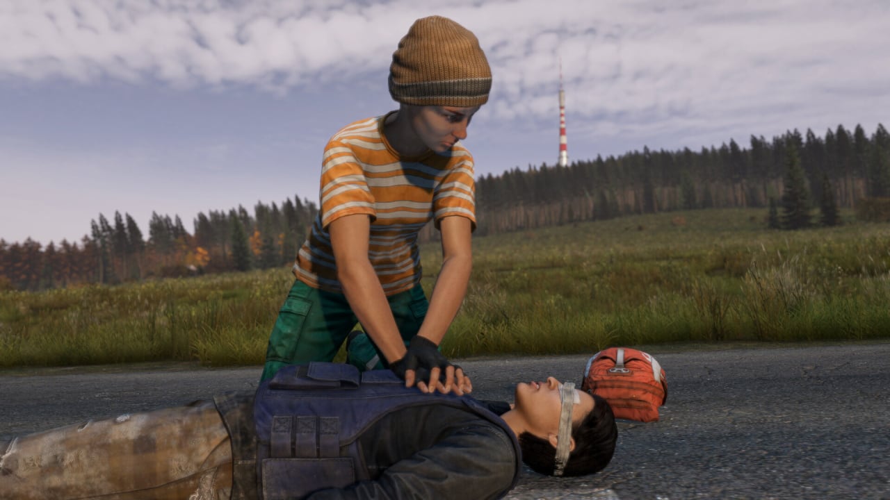 Screenshot #2 - DayZ