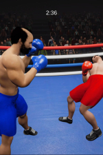 Screenshot #7 - Boxing Simulator