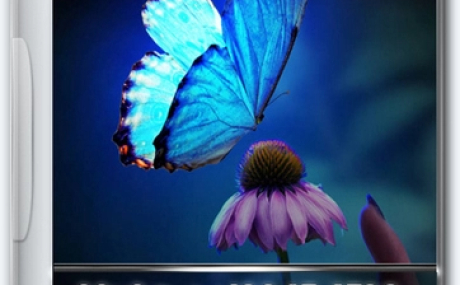 Windows 10 Optima Pro 22H2 19045.4529 x64