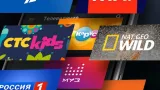 Screenshot #1 - WINK 1.44.1