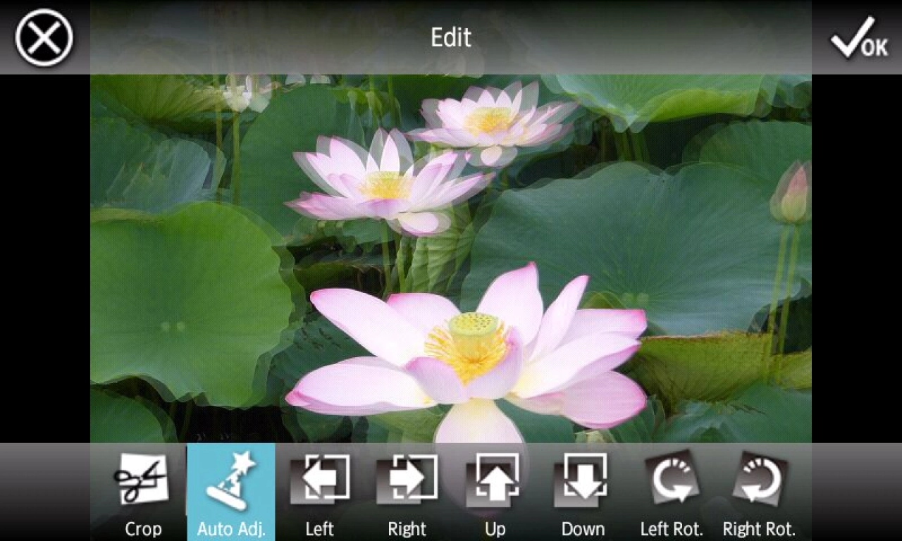 Screenshot #3 - 3DSTEROID 4.31