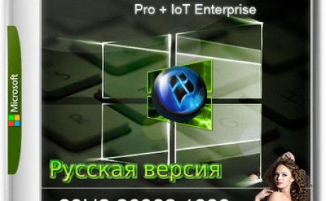 Windows 11 Pro 23H2 x64 Русская by OneSmiLe 26002.1000