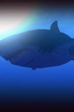 Screenshot #5 - Feed and Grow: Fish