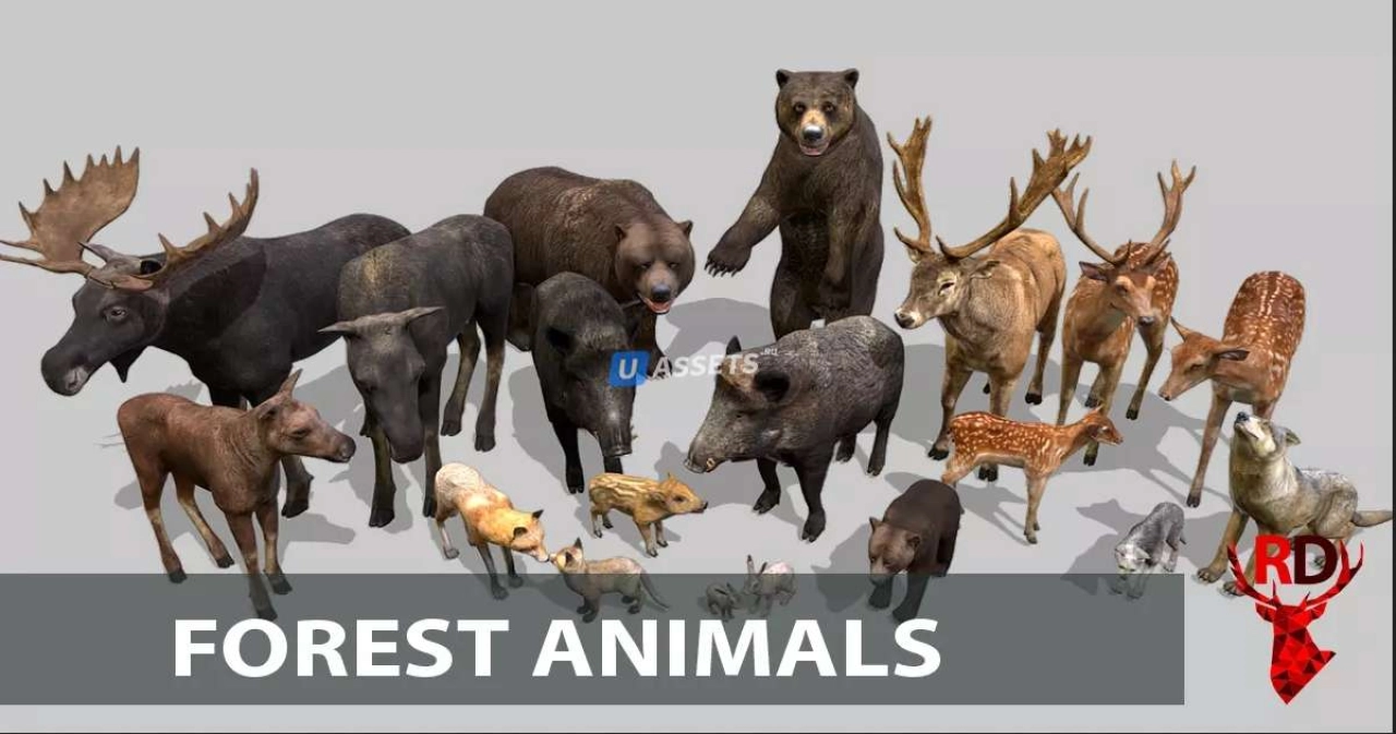 Screenshot #2 - Forest animals 1.0
