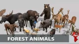 Screenshot #2 - Forest animals 1.0