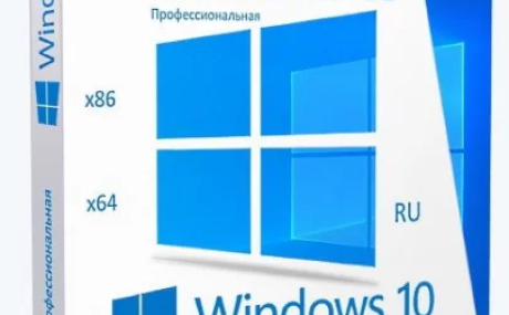 Windows 10 Professional VL x86-x64 21H2 RU by OVGorskiy 02.2022