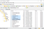 Screenshot #2 - WinsCP v6.3 FTP клиент