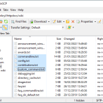 Screenshot #2 - WinsCP v6.3 FTP клиент