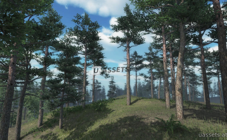 Scots Pine Trees Package