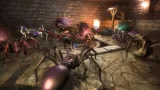 Screenshot #2 - Spider Character Spiders Pack - Fantasy RPG