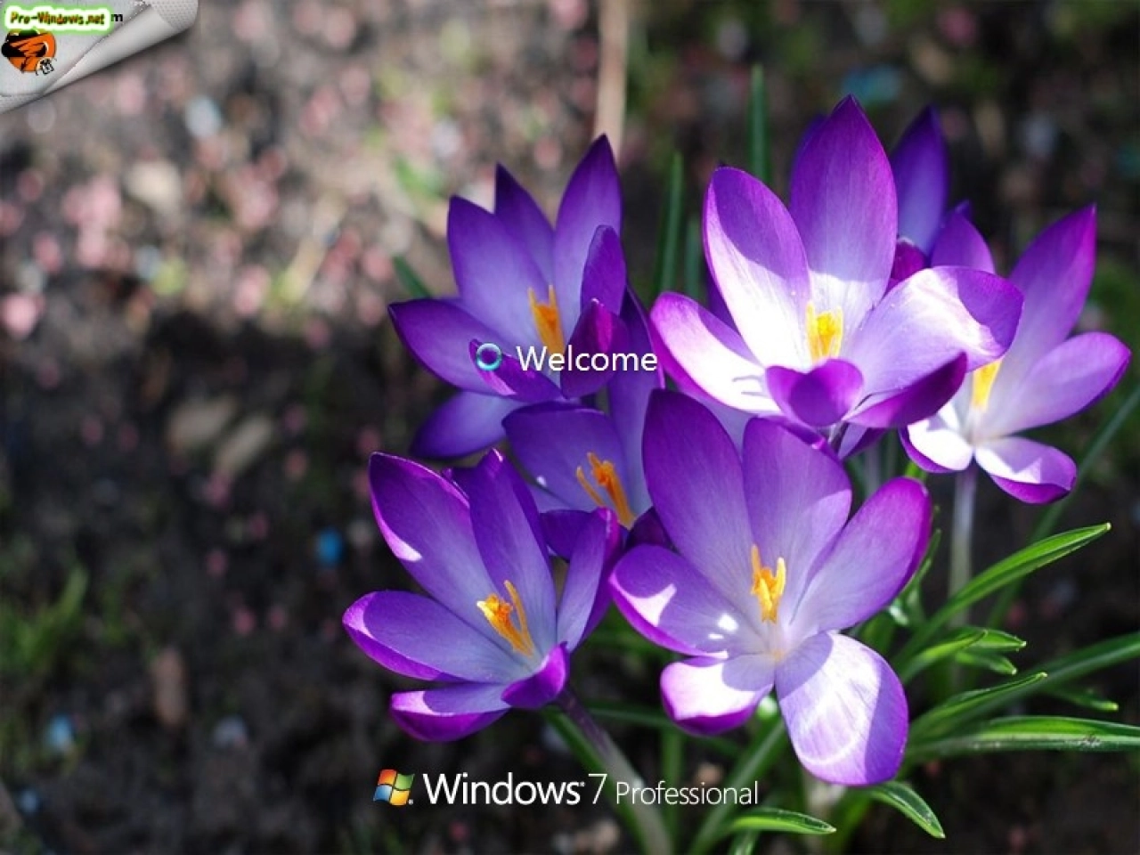 Screenshot #6 - Сборка Windows 7 SP1 16 in 1 KottoSOFT (x86\x64) (Ru\En\De\Ua) [v.5\2018]
