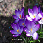 Screenshot #6 - Сборка Windows 7 SP1 16 in 1 KottoSOFT (x86\x64) (Ru\En\De\Ua) [v.5\2018]