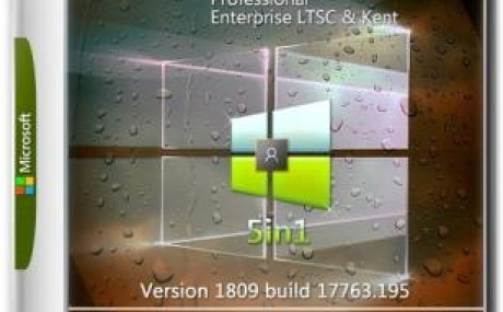 Windows 10 v1809 x64 5in1 by kuloymin v17 (ESD)