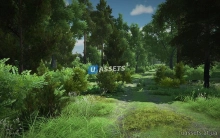 Realistic Forest Pack