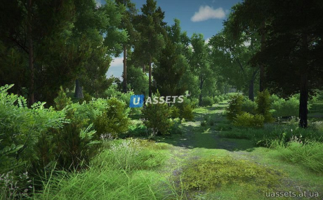 Realistic Forest Pack