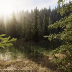 Screenshot #3 - Nanite Trees Vol.1