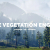 The Vegetation Engine
