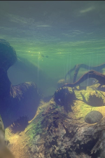 Screenshot #2 - Feed and Grow: Fish