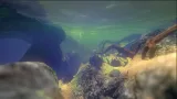 Screenshot #2 - Feed and Grow: Fish