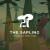The Sapling