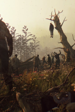 Screenshot #12 - Dying Light: The Following