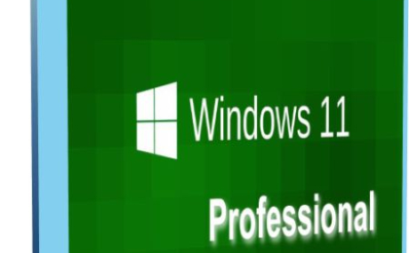 Windows 11 Professional 21996.1 x64 by Tatata