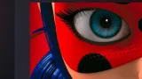Screenshot #17 - WINK 1.44.1