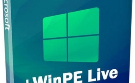 Windows 10 x64 Pro 22H2 19045.4842 by Revision + WinPE Live