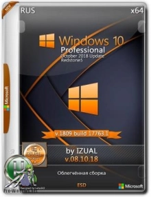 Windows 10 Professional 1809 v17763.1 (x64) IZUAL