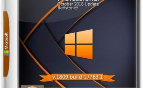 Windows 10 Professional 1809 v17763.1 (x64) IZUAL