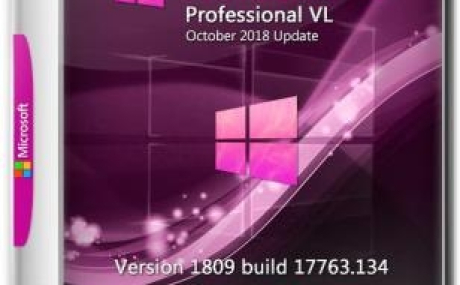 Windows 10 Professional VL 1809 RS5 RU by OVGorskiy 2DVD (x86-x64) (2018)