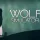 Wolf Simulator: +1 трейнер