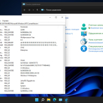 Screenshot #6 - Windows 11 3in1 VL (x64) v.10.10.21 Elgujakviso Edition