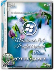 Windows 8.1 Professional KottoSOFT 64-bit