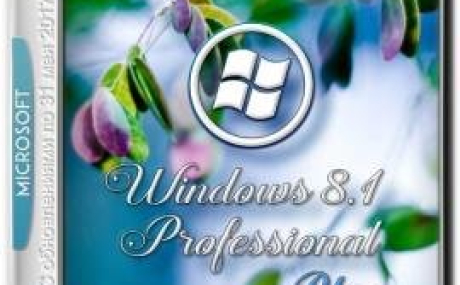 Windows 8.1 Professional KottoSOFT 64-bit
