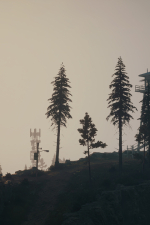 Screenshot #11 - Outbreak Island