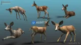 Screenshot #3 - Forest Animal - Deer & Moose Family Pack