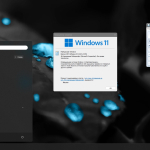Screenshot #2 - Компактная сборка Windows 11 23H2 (22631.3155) by Flibustier