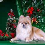 Screenshot #4 - Windows 7 SP1 with Update SURA SOFT (x64)[31.12.2017]