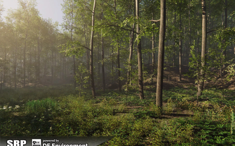 Nature Package - Forest Environment