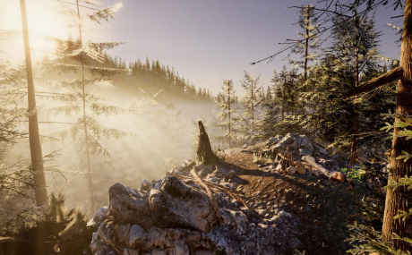 Mountain Forest Pack