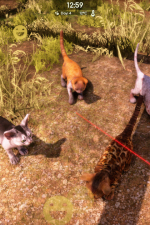Screenshot #9 - Animal Shelter 2