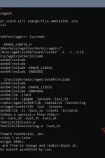 Screenshot #2 - Wget