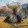 the Hunter: Call of the Wild : +11 трейнер