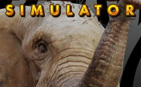 Zoo Simulator